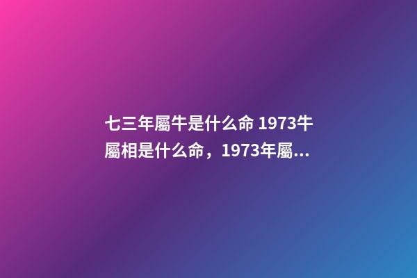 七三年屬牛是什么命 1973牛屬相是什么命，1973年屬牛是什么命運-第1張-觀點-玄機派